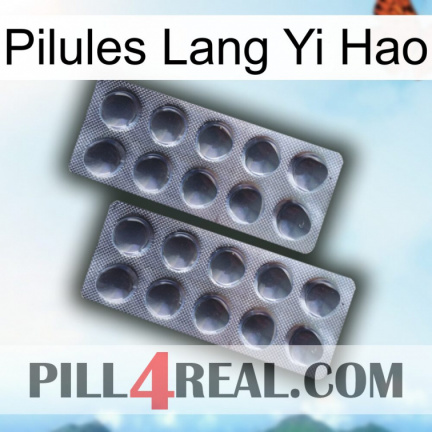 Lang Yi Hao Pills 31